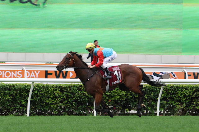 Zac Purton rides Ka Ying Rising at Sha Tin during the Chairman’s Sprint Prize on 27 April 2025.