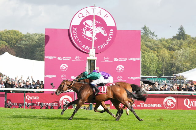 Daryz winning the 2025 Prix de l’Arc de Triomphe at ParisLongchamp